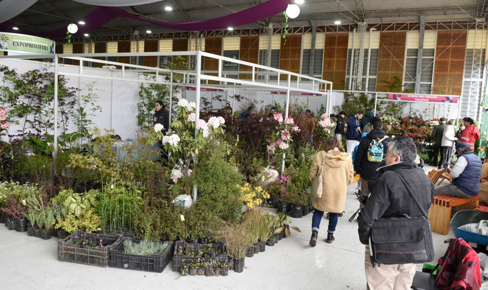 Expo Primavera está abierta hasta hoy en Centro de Ferias del Parque Saval de Valdivia