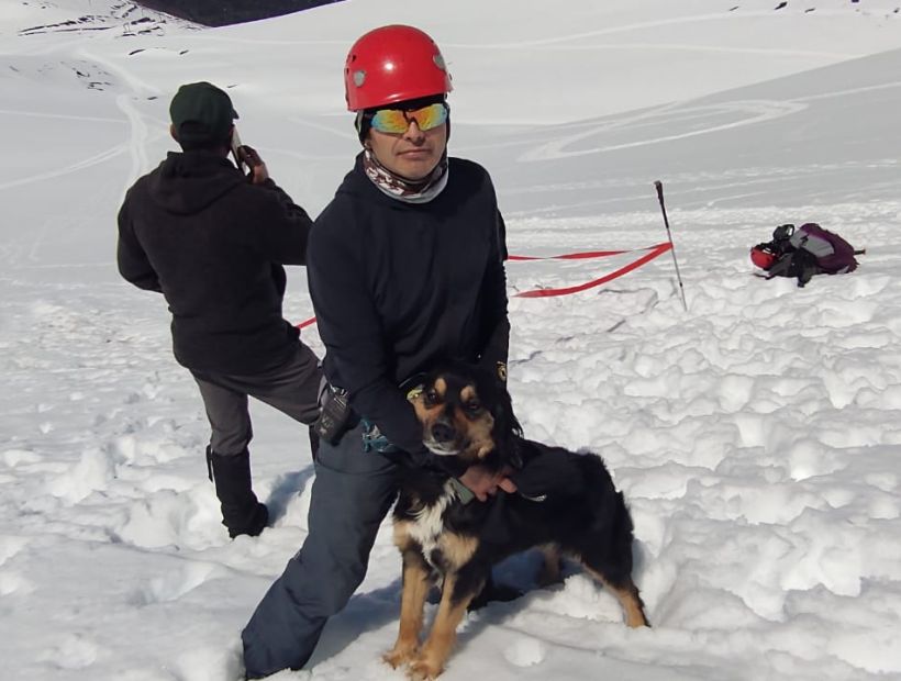 Deportista cuenta como su perro localizó el cuerpo de puyehuino extraviado en Antillanca Deportista cuenta como su perro localizó el cuerpo de puyehuino extraviado en Antillanca