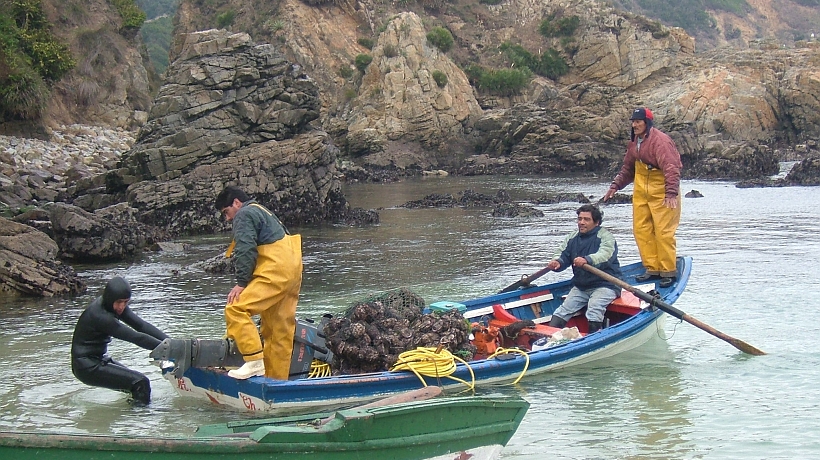 Indespa lanzó programa para mejorar gestión de la pesca artesanal y acuicultura
