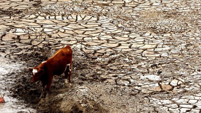 Alertan zonas de La Araucanía que serían afectadas por la sequía con inteligencia artificial