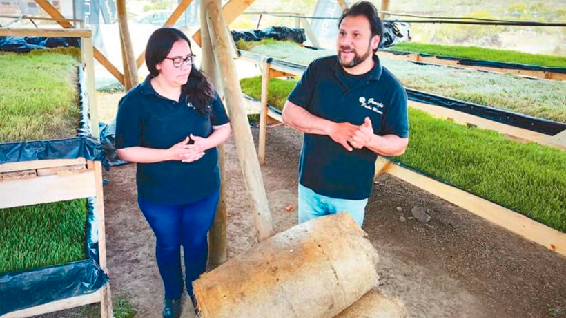 Matrimonio de La Ligua tiene granja 100% autosustentable