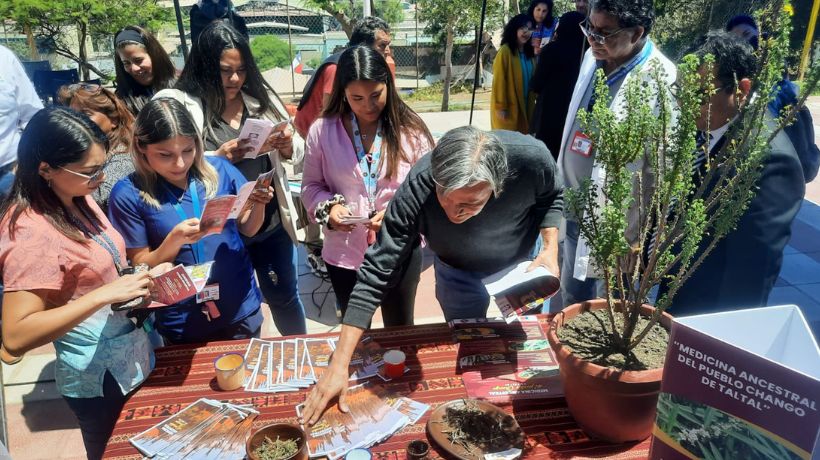 Taltal avanza en la integración de yerbas medicinales del Pueblo Chango en la salud pública