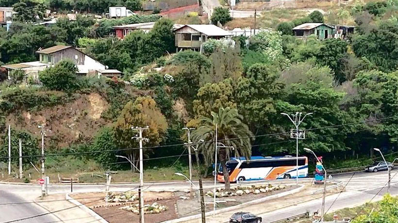 Vecinos en alerta por peligroso ruco frente a la plaza Arévalo de San Antonio