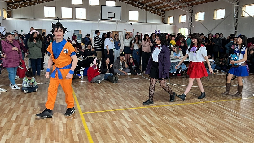 Feria preventiva en Quellón congregó a 400 personas