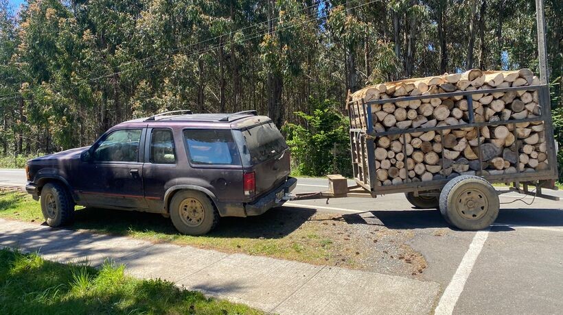 Todo avaluado en $18 millones: Cinco personas fueron detenidas por robo de madera en Paillaco