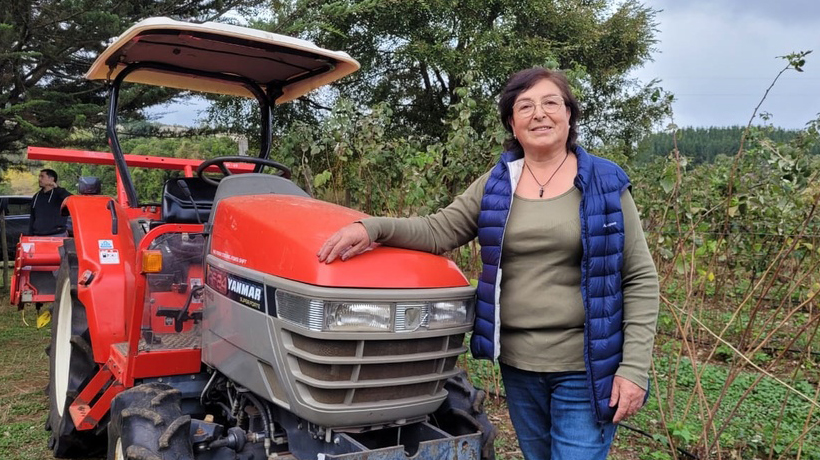 Concurso para pequeños productores agrícolas de La Araucanía alcanza los $5 millones