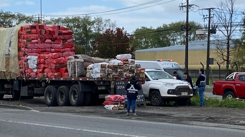 Cursaron 29 infracciones en Puerto Montt por venta ilegal de leña