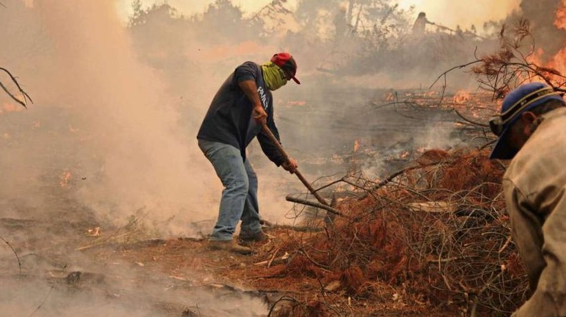 Agricultores de Ñuble resguardan predios a raíz de pronóstico de altas temperaturas