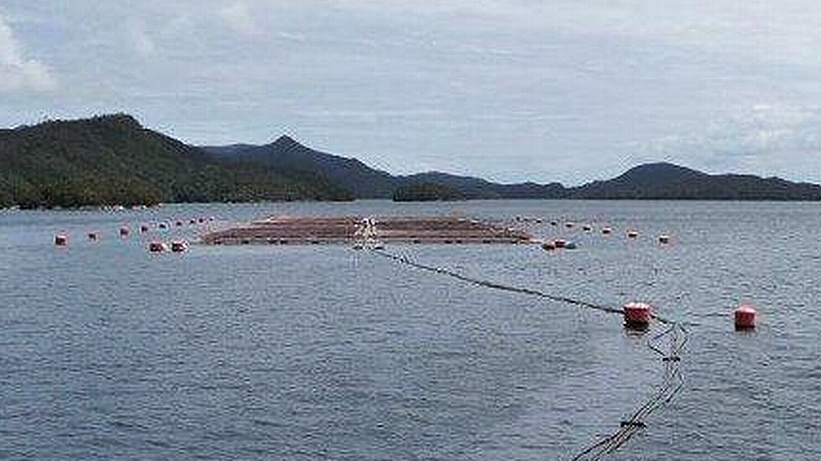 Seminario abordará impacto de la acuicultura en el desarrollo de la Región de Los Lagos