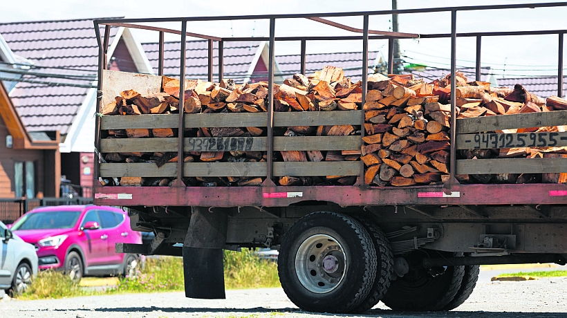 Estudio definió que en Puerto Montt se vende la leña más cara del país