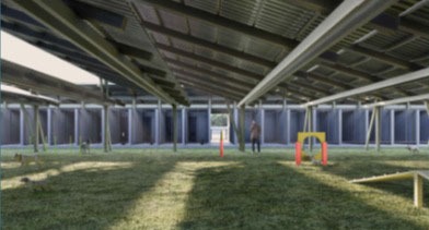 Temuco: aprueban recursos para el diseño de nuevo Centro de Mantención y Crematorio para mascotas