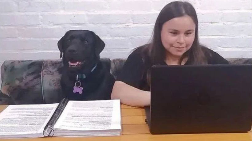 Psicóloga no vidente que utiliza perro guía logra triunfo judicial tras demandar a línea de micro