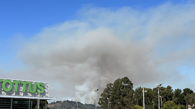 Incendio forestal en Concón y Viña del Mar se encuentra controlado: cancelan Alerta Roja y declaran Amarilla Incendio forestal en Concón y Viña del Mar se encuentra controlado: cancelan Alerta Roja y declaran Amarilla