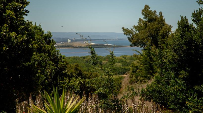Declararon Santuario de la Naturaleza a la Desembocadura del Río Biobío