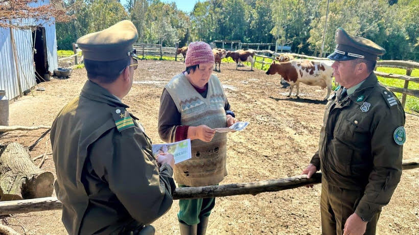 Carabineros lleva a cabo campaña contra el robo de ganado o animales domésticos Carabineros lleva a cabo campaña contra el robo de ganado o animales domésticos