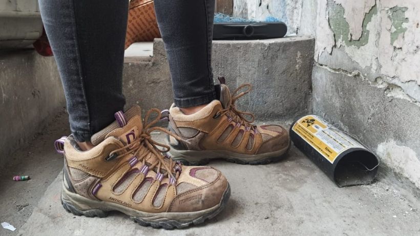 Trámites de desratización por demoliciones aumentan en un 45% en Antofagasta