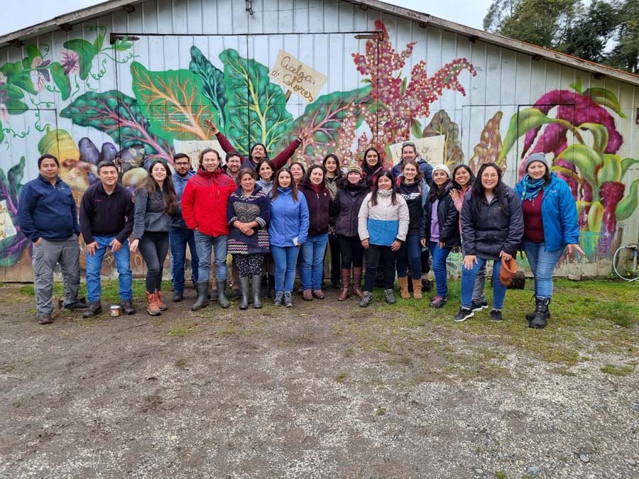 48 profesionales del agro fueron beneficiados por el Gobierno Regional de La Araucanía con beca de formación en agricultura sustentable