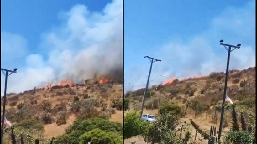 Papudo: incendio forestal en sector Las Salinas de Pullally está controlado