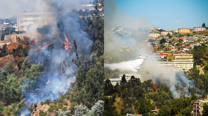 Incendio forestal en el Cerro Rodelillo está extinguido