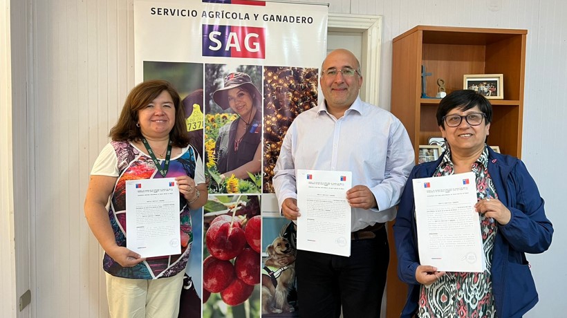 Seremi de Salud y SAG renuevan convenio para inspeccionar mataderos en la Región de Ñuble