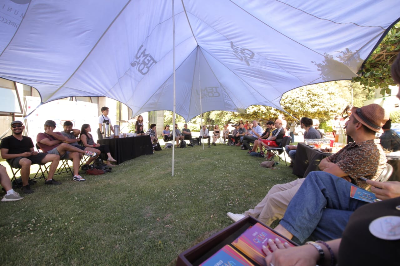 "Temuco creativa": proyecto busca llevar el arte a diversos sectores de mano de artistas locales