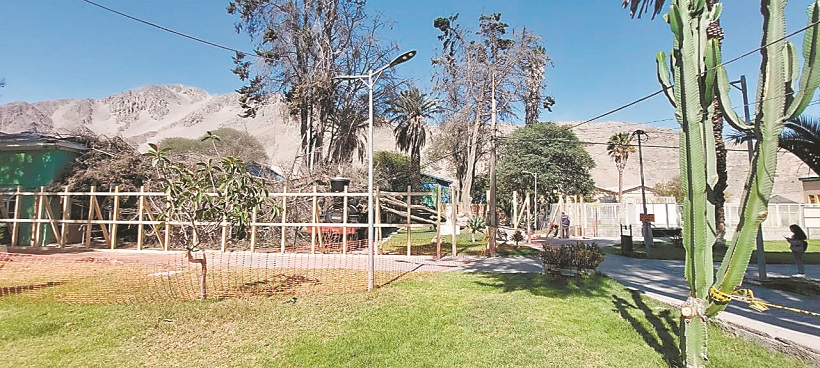 Árbol que cayó sobre la locomotora “La Copiapó” aún no es removido