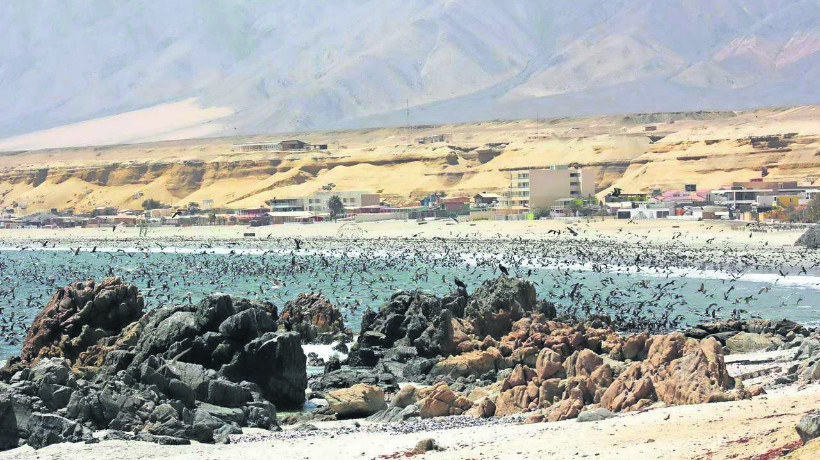 Hornitos entre las playas del país más afectadas por la erosión costera: Duplicó cifra en un año