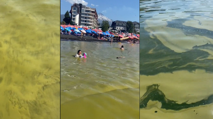 Registran bloom de algas en Lago Villarrica: aguas presentan coloración verdosa