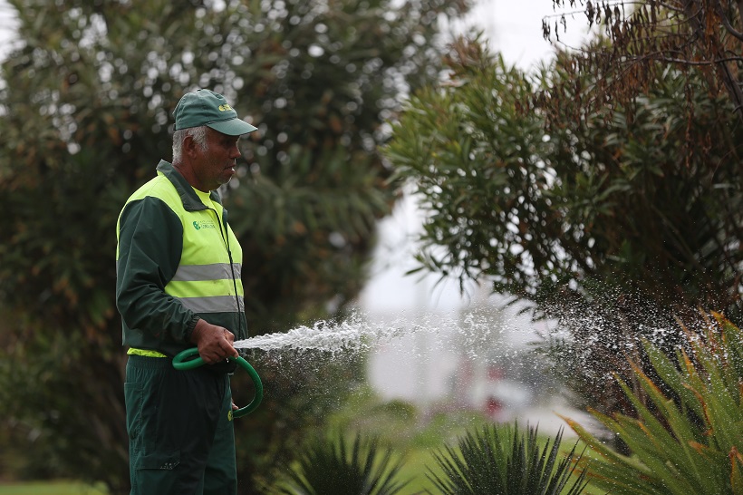 Contraloría ofició a municipios de Antofagasta, Calama y Tocopilla para que informen sobre medidas de salubridad en calles, plazas y parques Contraloría ofició a municipios de Antofagasta, Calama y Tocopilla para que informen sobre medidas de salubridad en calles, plazas y parques