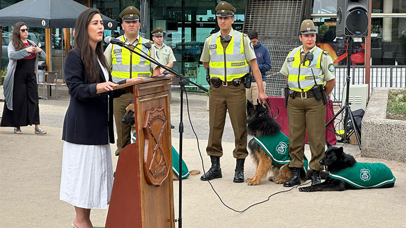 Nuevos carabineros llegan a la Región de Valparaíso a reforzar los servicios preventivos Nuevos carabineros llegan a la Región de Valparaíso a reforzar los servicios preventivos