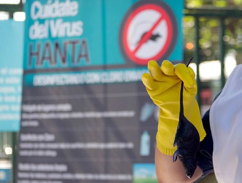 Consejos para prevenir el contagio de Virus Hanta