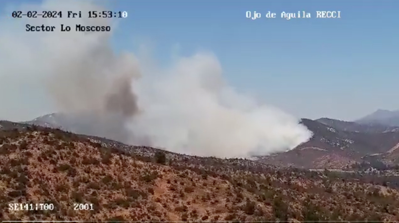 Incendio forestal avanza rápidamente en Villa Alemana: ya van más de 60 hectáreas