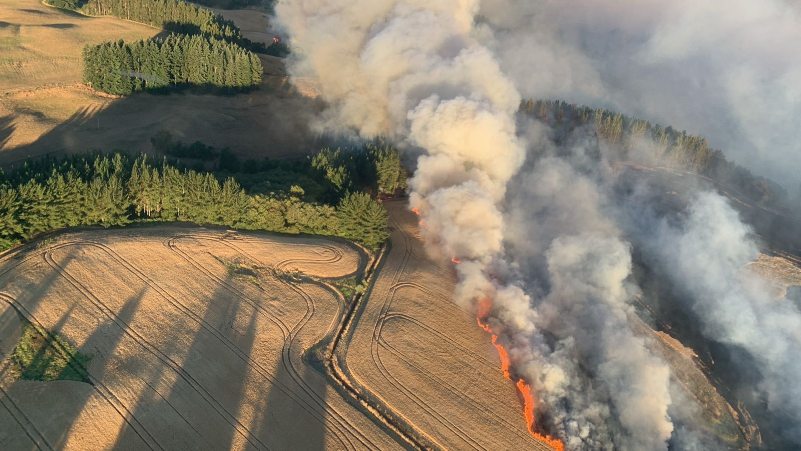 Evacuan un centenar de viviendas y declaran alerta roja por incendio forestal en San Pablo