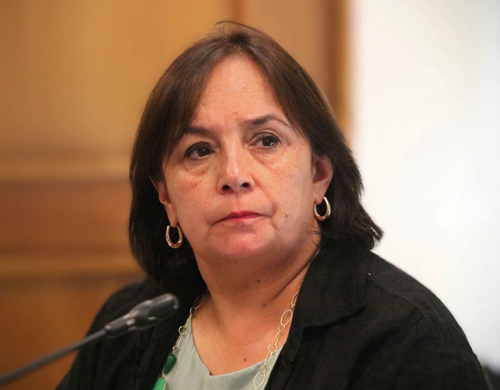 Senadora Aravena tras sesión con COSENA: "se dio nuevo paso en falso contra crimen organizado"