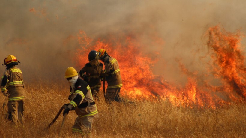 Alcalde de Galvarino pide modificar la Ley de Bosques tras graves incendios forestales Alcalde de Galvarino pide modificar la Ley de Bosques tras graves incendios forestales