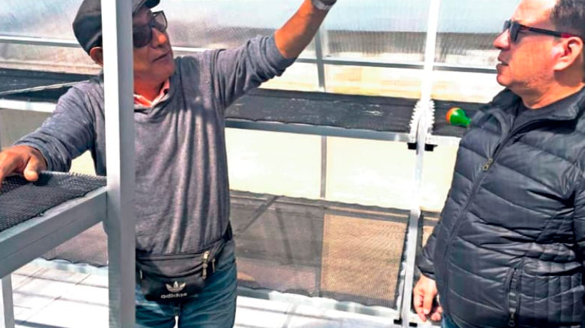 Región de Arica y Parinacota: Avanza la primera planta de charquería camélida en Visviri Región de Arica y Parinacota: Avanza la primera planta de charquería camélida en Visviri