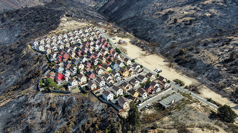 Botania: el barrio de Canal Chacao que resistió al megaincendio