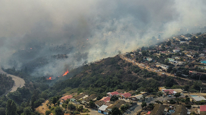Diputados impulsan comisiones y nuevas leyes anti-incendios: proponen prohibir plantación de árboles muy combustibles Diputados impulsan comisiones y nuevas leyes anti-incendios: proponen prohibir plantación de árboles muy combustibles