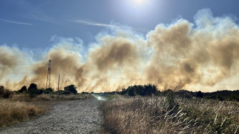 Llaman a apoyar a Bomberos de Los Lagos a través del Seguro Obligatorio de Accidentes Personales