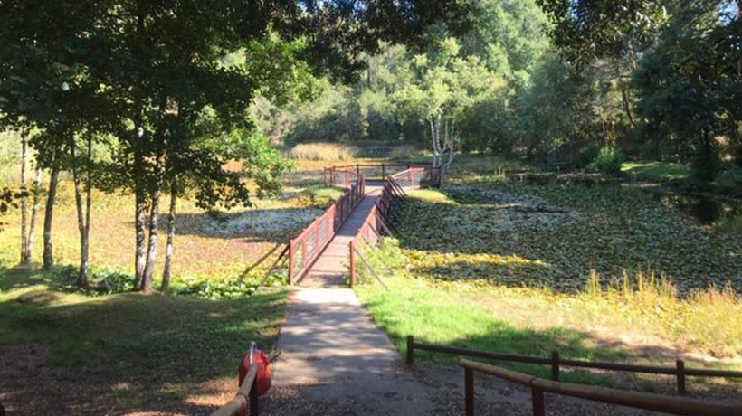 Municipio anuncia cierre del Parque Saval mañana por la Noche Valdiviana: revisa el horario