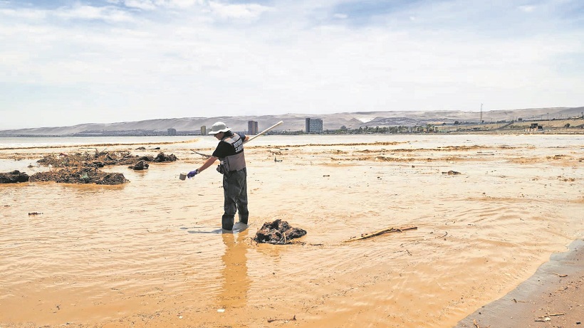 Salud decreta el cierre de la playa Chinchorro de Arica por contaminación