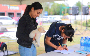 Mall del Centro Concepción realizará jornada de adopción de mascotas este sábado