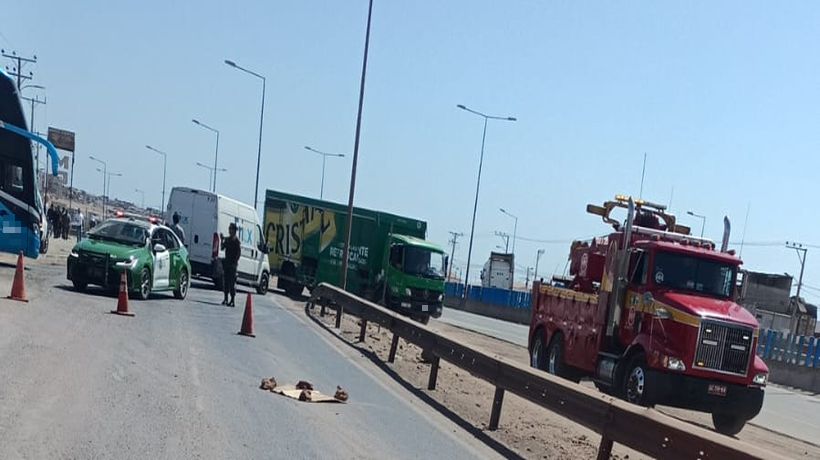 Mujer murió tras ser atropellada por bus en Alto Hospicio Mujer murió tras ser atropellada por bus en Alto Hospicio