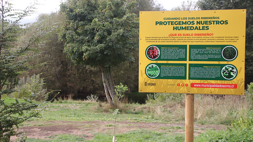Declaratoria de humedales del río Damas de Osorno sigue a la espera tras un año y tres meses de su tramitación