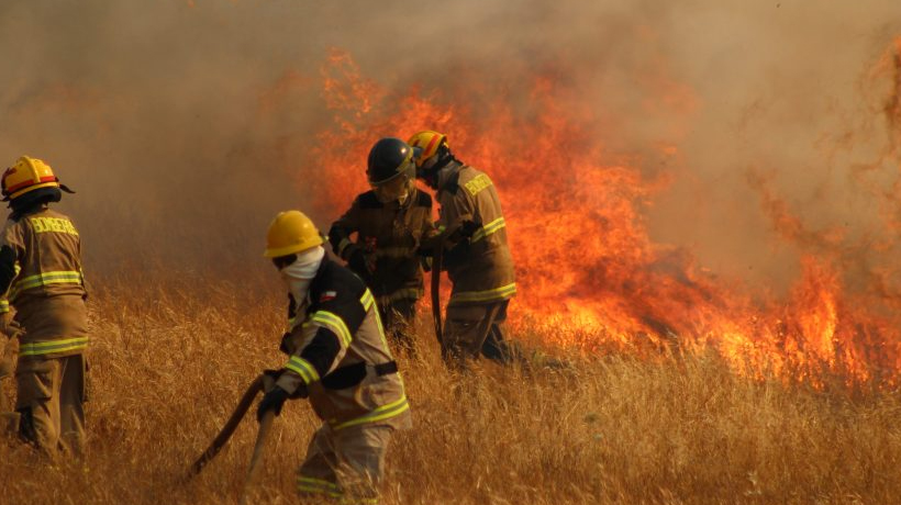 Incendio forestal en Nueva Imperial dejó a más de 600 personas afectadas Incendio forestal en Nueva Imperial dejó a más de 600 personas afectadas