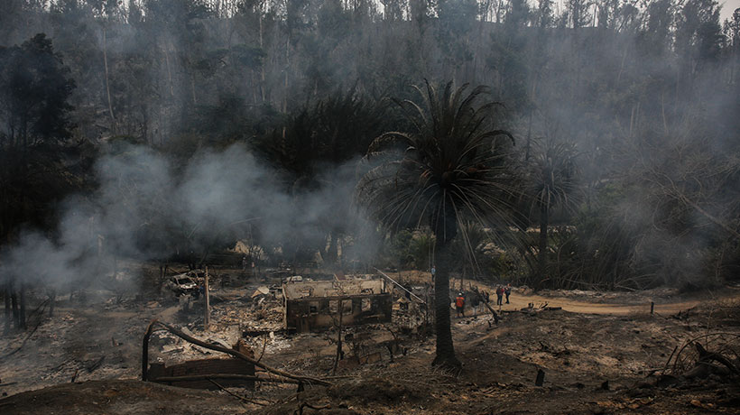 Hijo de trabajadora fallecida por incendio en el Jardín Botánico: “Las puertas estaban candado arriba”