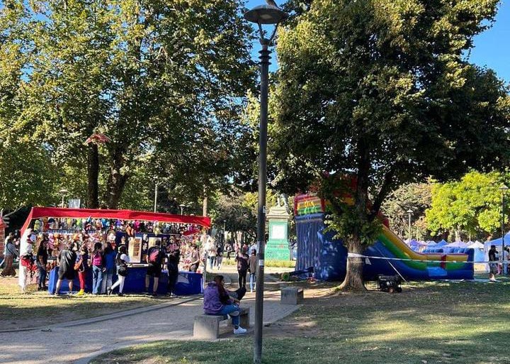 Municipalidad de Concepción se querella por daños en Parque Ecuador