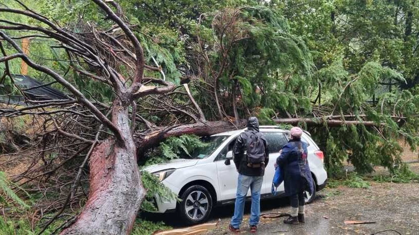 Lluvia “a la antigua” ha dejado una serie de estragos en Los Ríos