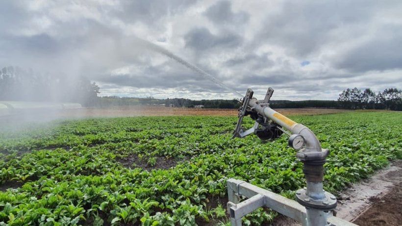La Región de Los Lagos declara emergencia agrícola por déficit hídrico en las 22 comunas