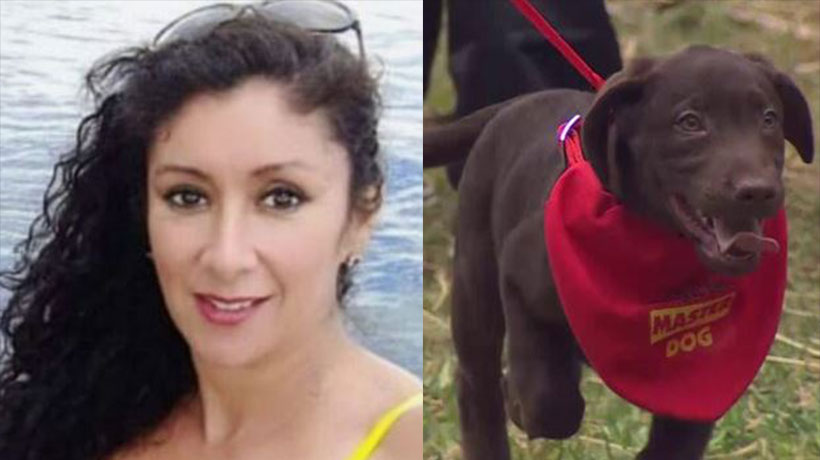“¿Cómo pudieron...?”: la reacción de Angélica Sepúlveda a fallecimiento de perrito de Tierra Brava “¿Cómo pudieron...?”: la reacción de Angélica Sepúlveda a fallecimiento de perrito de Tierra Brava